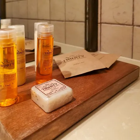 فندق Trinity With Free Shuttle To Gondola 4*